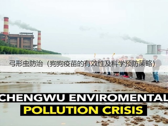 弓形虫防治(狗狗疫苗的有效性及科学预防策略)(图3) 弓形虫防治(狗狗疫苗的有效性及科学预防策略)(图3)