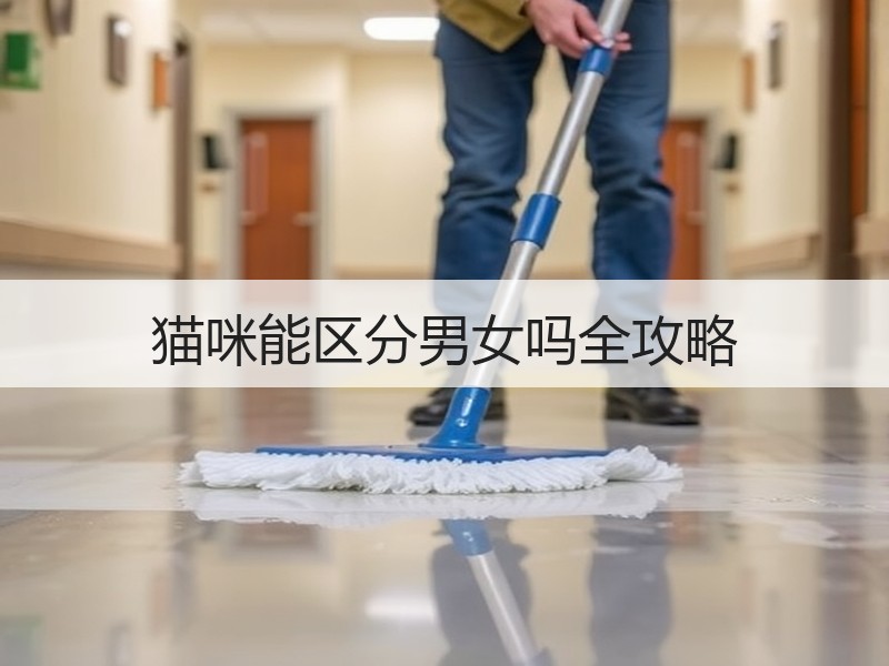 猫咪能区分男女吗全攻略