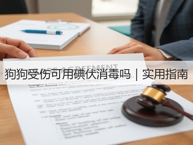 狗狗受伤可用碘伏消毒吗｜实用指南(图1)