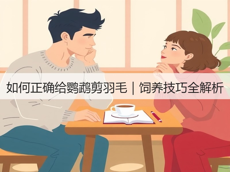 如何正确给鹦鹉剪羽毛｜饲养技巧全解析