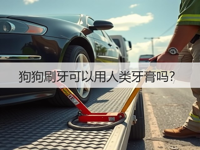 狗狗刷牙可以用人类牙膏吗?(图3) 狗狗刷牙可以用人类牙膏吗?(图3)