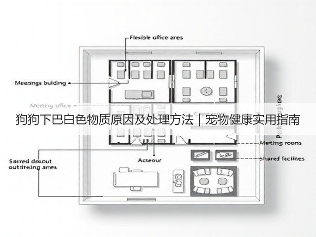 狗狗下巴白色物质原因及处理方法|宠物健康实用指南(图3) 狗狗下巴白色物质原因及处理方法|宠物健康实用指南(图3)