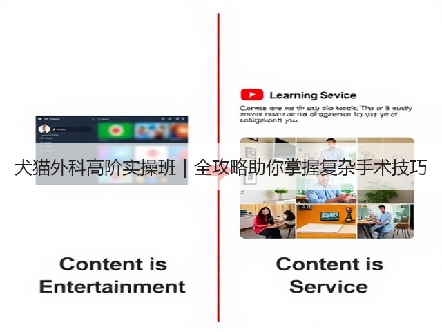 犬猫外科高阶实操班|全攻略助你掌握复杂手术技巧(图2) 犬猫外科高阶实操班|全攻略助你掌握复杂手术技巧(图2)