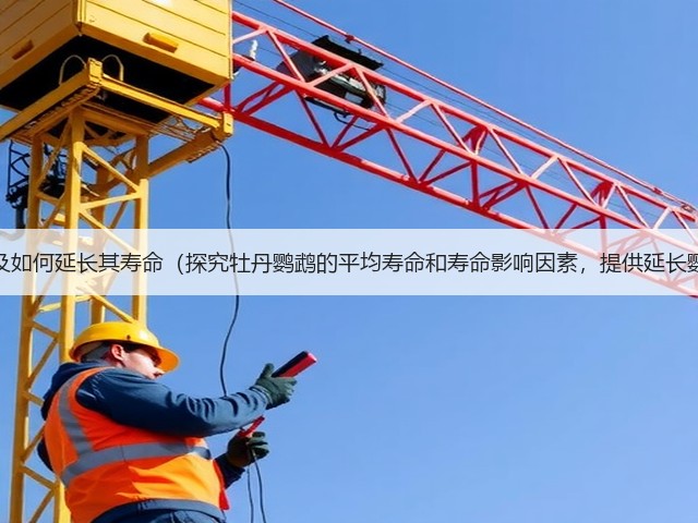 牡丹鹦鹉的寿命及如何延长其寿命(探究牡丹鹦鹉的平均寿命和寿命影响因素,提供延长鹦鹉寿命的建议)(图3) 牡丹鹦鹉的寿命及如何延长其寿命(探究牡丹鹦鹉的平均寿命和寿命影响因素,提供延长鹦鹉寿命的建议)(图3)