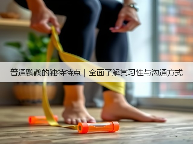 普通鹦鹉的独特特点|全面了解其习性与沟通方式(图2) 普通鹦鹉的独特特点|全面了解其习性与沟通方式(图2)