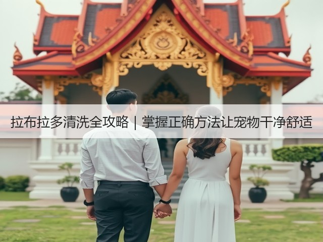 拉布拉多清洗全攻略｜掌握正确方法让宠物干净舒适(图1)