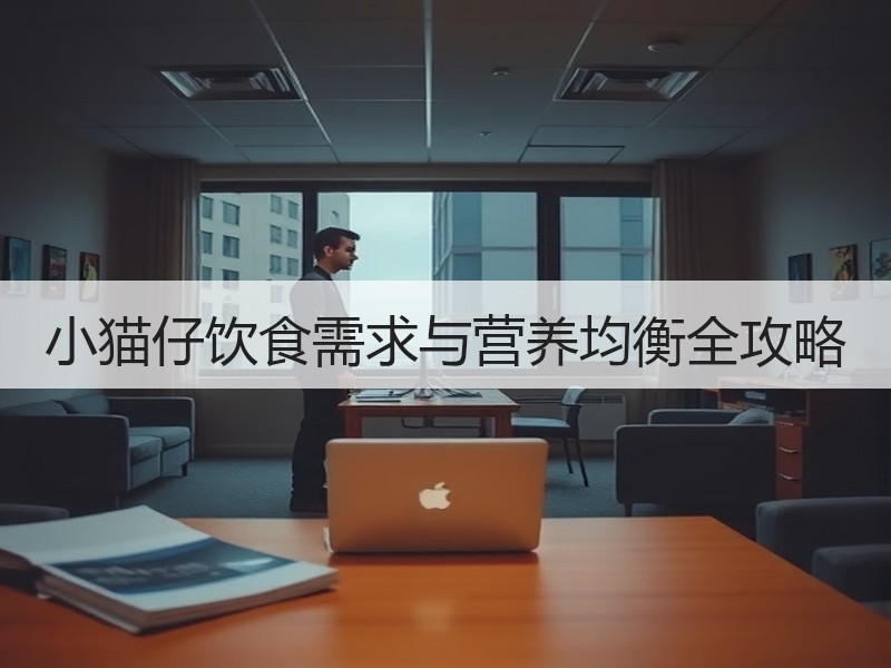 小猫仔饮食需求与营养均衡全攻略