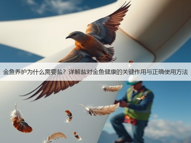 金鱼养护为什么需要盐?详解盐对金鱼健康的关键作用与正确使用方法(图1) 金鱼养护为什么需要盐?详解盐对金鱼健康的关键作用与正确使用方法(图1)