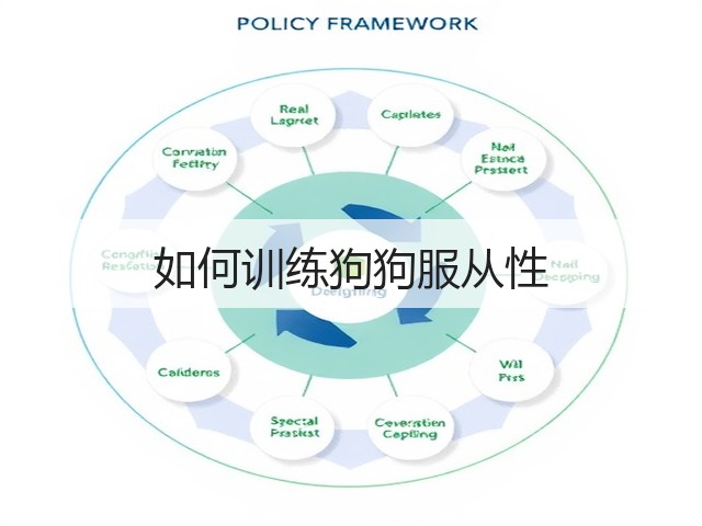 如何训练狗狗服从性(图2)