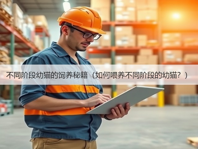 不同阶段幼猫的饲养秘籍(如何喂养不同阶段的幼猫?)(图3) 不同阶段幼猫的饲养秘籍(如何喂养不同阶段的幼猫?)(图3)