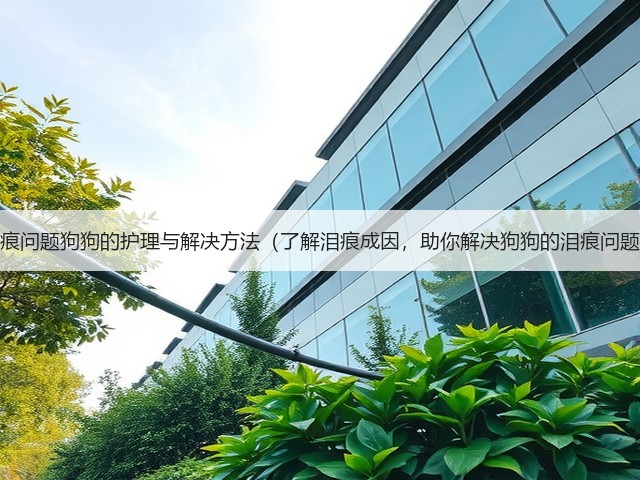 泪痕问题狗狗的护理与解决方法(了解泪痕成因,助你解决狗狗的泪痕问题)(图2) 泪痕问题狗狗的护理与解决方法(了解泪痕成因,助你解决狗狗的泪痕问题)(图2)