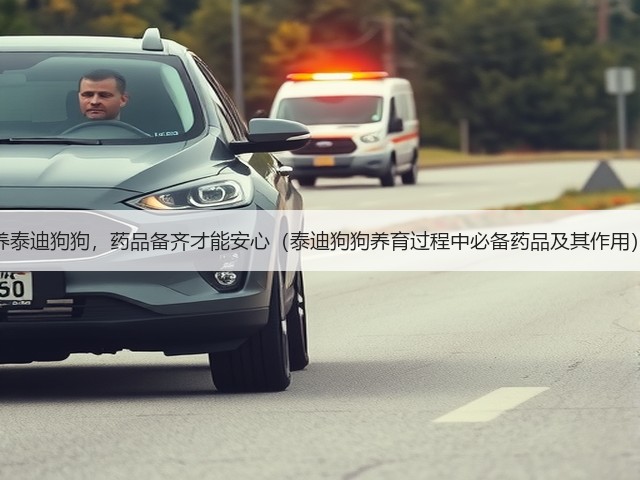 养泰迪狗狗,药品备齐才能安心(泰迪狗狗养育过程中必备药品及其作用)(图2) 养泰迪狗狗,药品备齐才能安心(泰迪狗狗养育过程中必备药品及其作用)(图2)