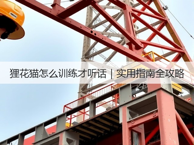 狸花猫怎么训练才听话|实用指南全攻略(图2) 狸花猫怎么训练才听话|实用指南全攻略(图2)