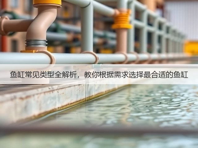 鱼缸常见类型全解析,教你根据需求选择最合适的鱼缸(图2) 鱼缸常见类型全解析,教你根据需求选择最合适的鱼缸(图2)