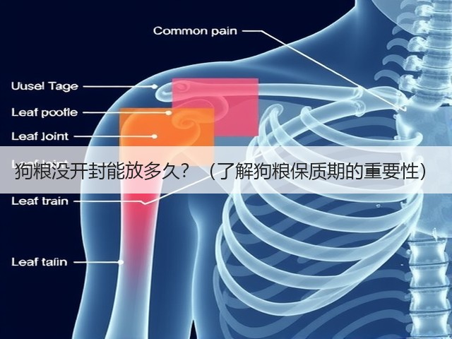 狗粮没开封能放多久?(了解狗粮保质期的重要性)(图3) 狗粮没开封能放多久?(了解狗粮保质期的重要性)(图3)