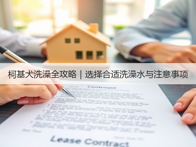 柯基犬洗澡全攻略|选择合适洗澡水与注意事项(图2) 柯基犬洗澡全攻略|选择合适洗澡水与注意事项(图2)