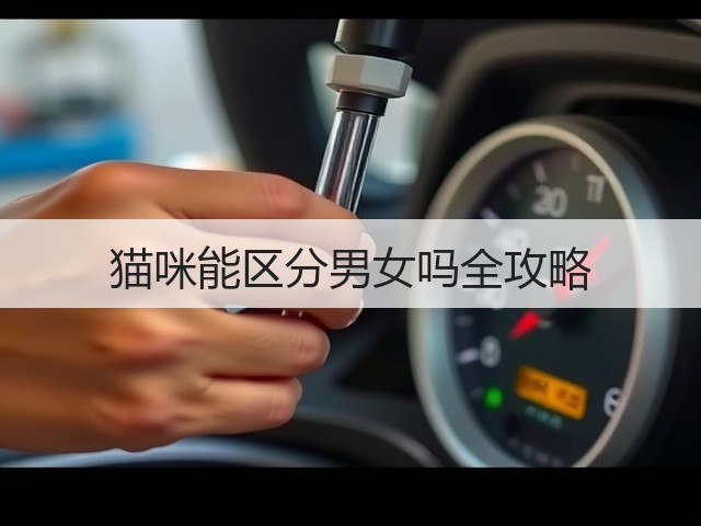 猫咪能区分男女吗全攻略(图2) 猫咪能区分男女吗全攻略(图2)