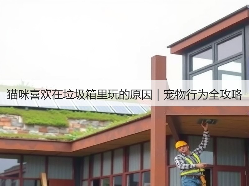 猫咪喜欢在垃圾箱里玩的原因｜宠物行为全攻略