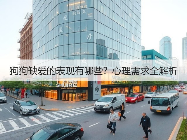 狗狗缺爱的表现有哪些？心理需求全解析(图3)