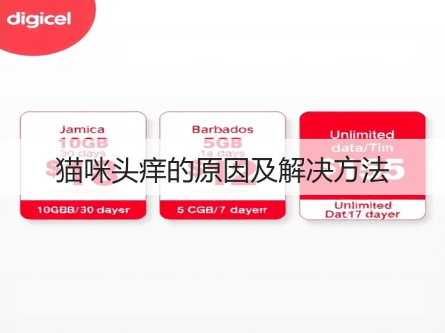 猫咪头痒的原因及解决方法(图3) 猫咪头痒的原因及解决方法(图3)