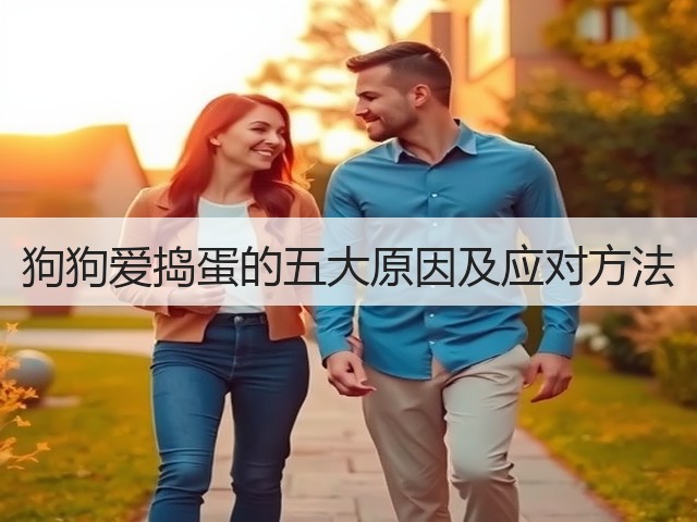 狗狗爱捣蛋的五大原因及应对方法(图2) 狗狗爱捣蛋的五大原因及应对方法(图2)