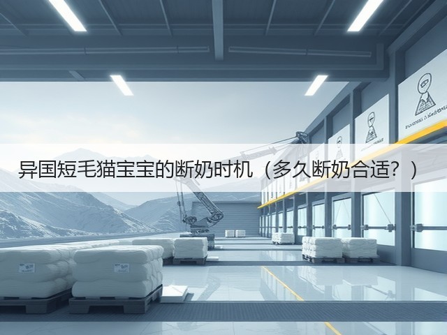 异国短毛猫宝宝的断奶时机(多久断奶合适?)(图3) 异国短毛猫宝宝的断奶时机(多久断奶合适?)(图3)