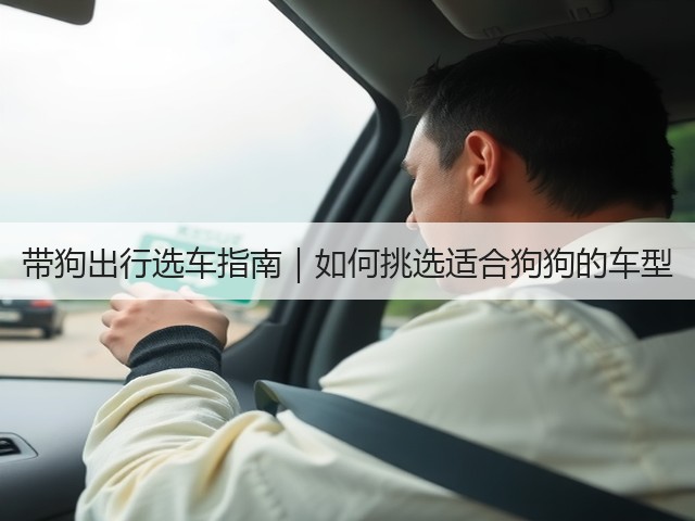 带狗出行选车指南|如何挑选适合狗狗的车型(图3) 带狗出行选车指南|如何挑选适合狗狗的车型(图3)