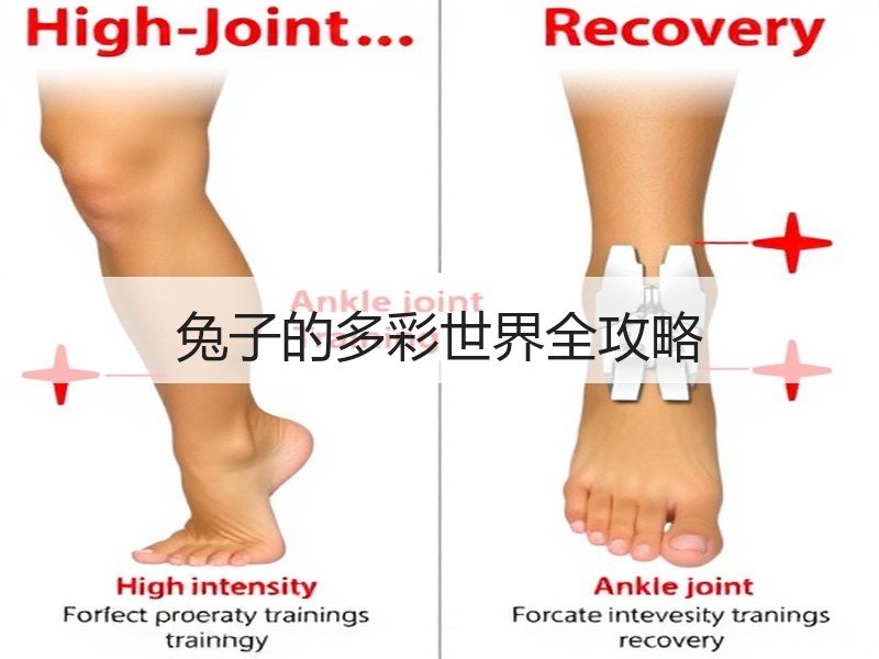 兔子的多彩世界全攻略