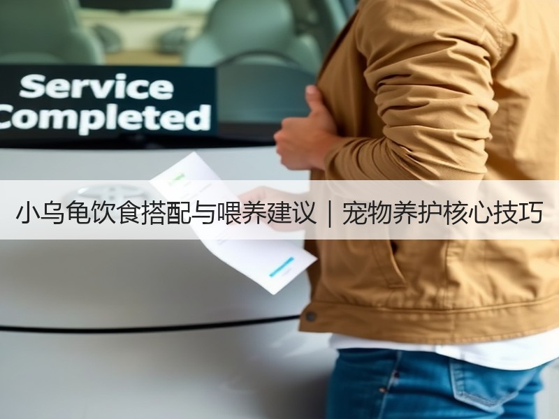 小乌龟饮食搭配与喂养建议｜宠物养护核心技巧