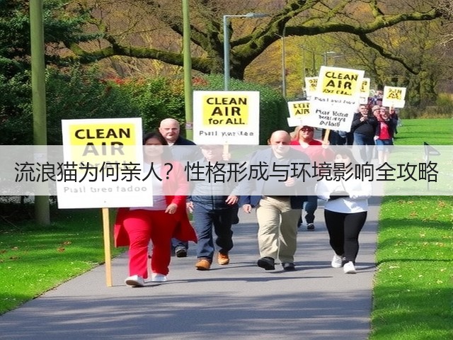 流浪猫为何亲人？性格形成与环境影响全攻略(图3)