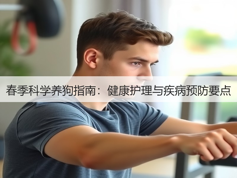 春季科学养狗指南:健康护理与疾病预防要点 春季科学养狗指南:健康护理与疾病预防要点