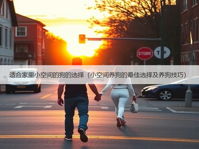 适合家里小空间的狗的选择(小空间养狗的最佳选择及养狗技巧)(图2) 适合家里小空间的狗的选择(小空间养狗的最佳选择及养狗技巧)(图2)
