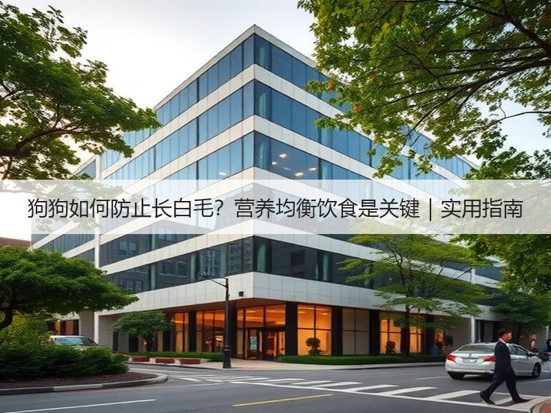 狗狗如何防止长白毛？营养均衡饮食是关键｜实用指南