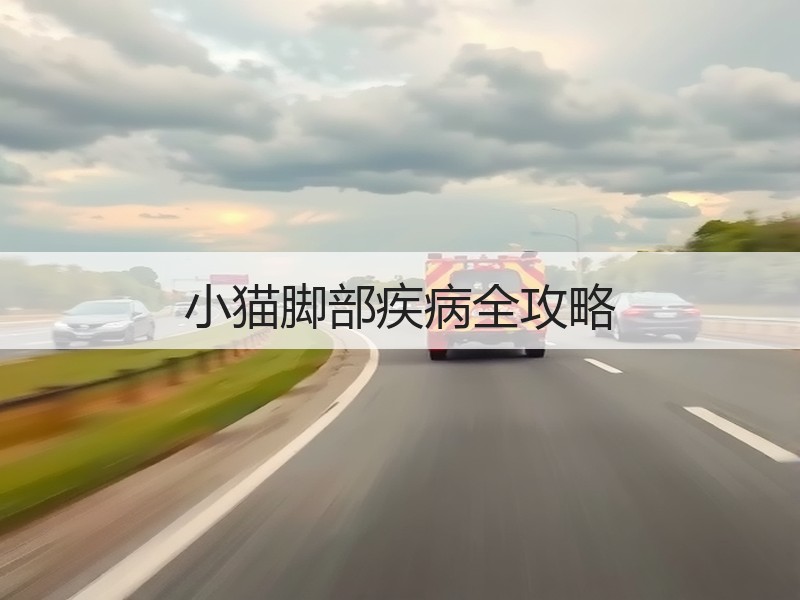 小猫脚部疾病全攻略