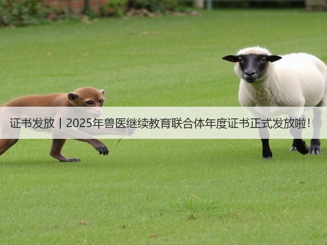证书发放丨2025年兽医继续教育联合体年度证书正式发放啦!(图2) 证书发放丨2025年兽医继续教育联合体年度证书正式发放啦!(图2)