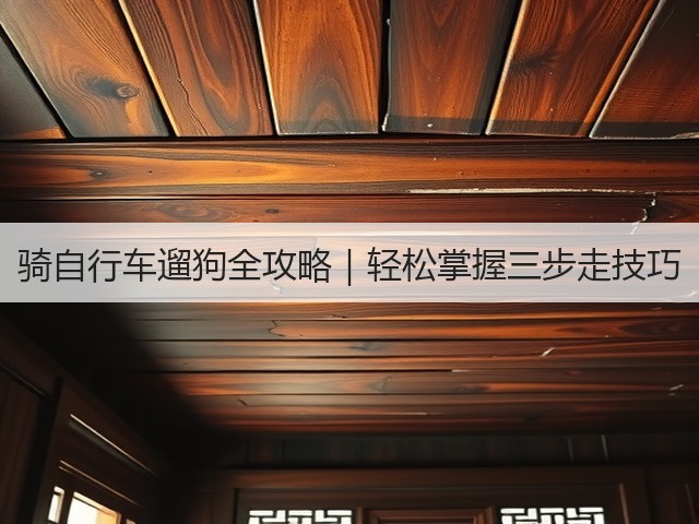 骑自行车遛狗全攻略|轻松掌握三步走技巧(图2) 骑自行车遛狗全攻略|轻松掌握三步走技巧(图2)