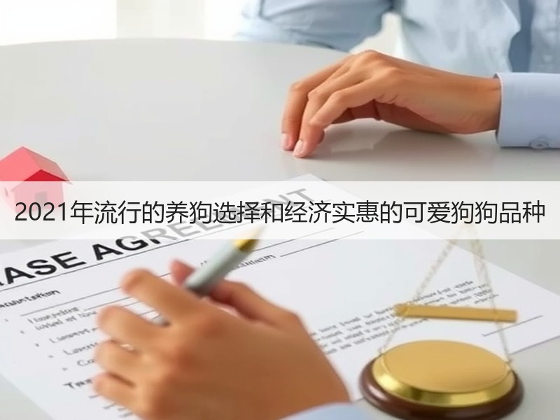 2021年流行的养狗选择和经济实惠的可爱狗狗品种