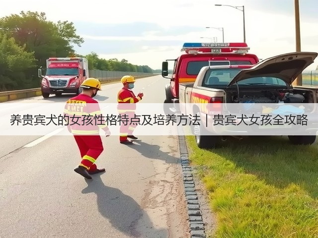 养贵宾犬的女孩性格特点及培养方法|贵宾犬女孩全攻略(图1) 养贵宾犬的女孩性格特点及培养方法|贵宾犬女孩全攻略(图1)
