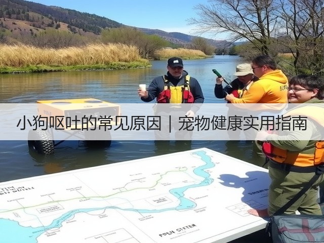 小狗呕吐的常见原因|宠物健康实用指南(图1) 小狗呕吐的常见原因|宠物健康实用指南(图1)