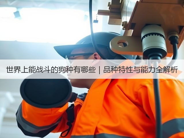 世界上能战斗的狗种有哪些|品种特性与能力全解析(图1) 世界上能战斗的狗种有哪些|品种特性与能力全解析(图1)