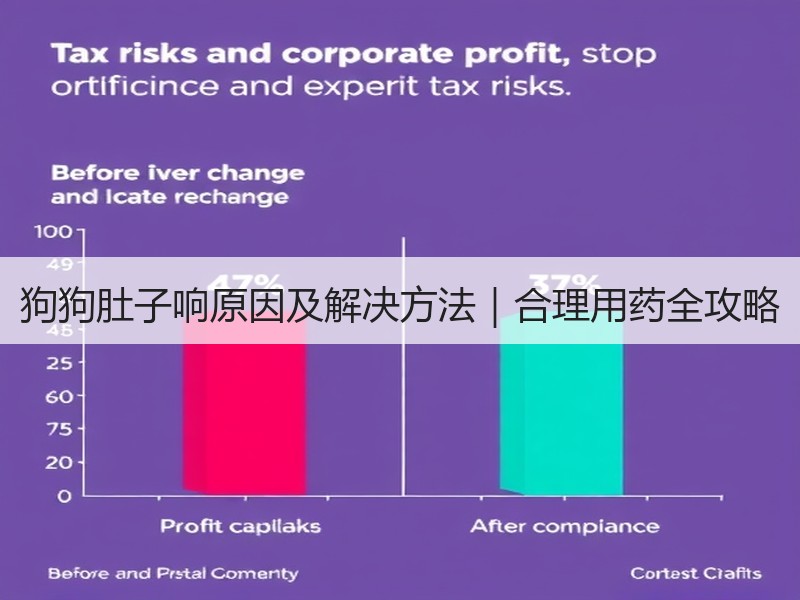 狗狗肚子响原因及解决方法｜合理用药全攻略