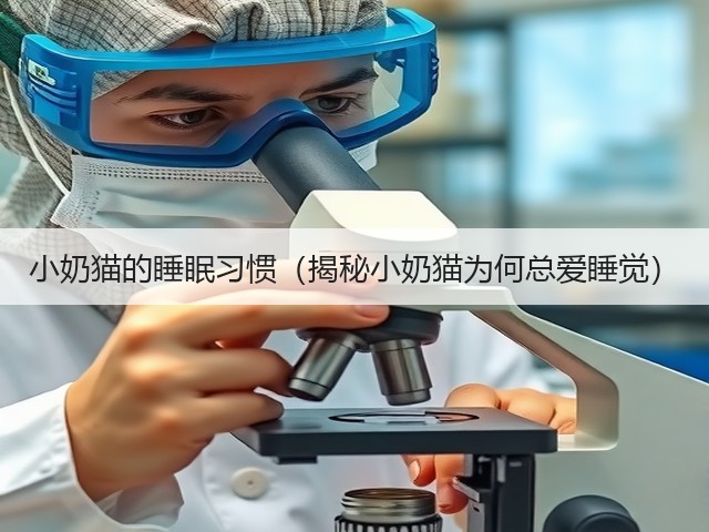 小奶猫的睡眠习惯(揭秘小奶猫为何总爱睡觉)(图2) 小奶猫的睡眠习惯(揭秘小奶猫为何总爱睡觉)(图2)