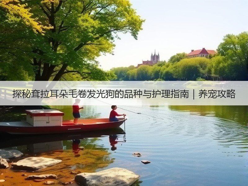 探秘耷拉耳朵毛卷发光狗的品种与护理指南｜养宠攻略