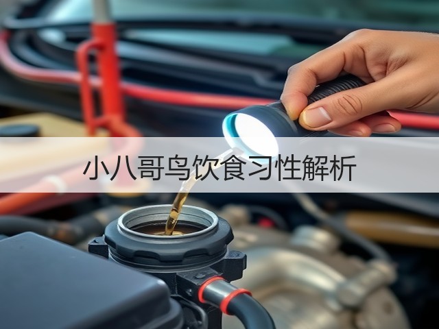 小八哥鸟饮食习性解析(图2) 小八哥鸟饮食习性解析(图2)