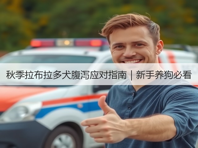 秋季拉布拉多犬腹泻应对指南|新手养狗必看(图3) 秋季拉布拉多犬腹泻应对指南|新手养狗必看(图3)