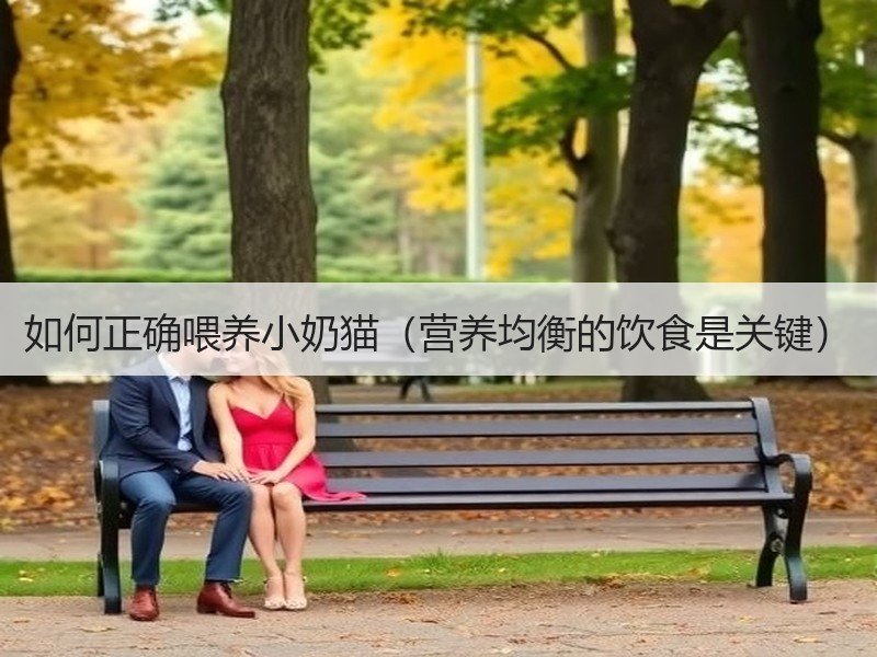 如何正确喂养小奶猫（营养均衡的饮食是关键）