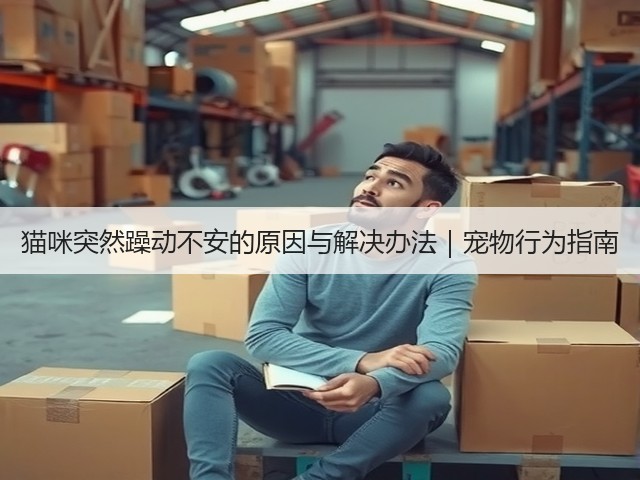 猫咪突然躁动不安的原因与解决办法｜宠物行为指南(图1)
