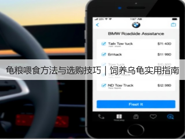 龟粮喂食方法与选购技巧|饲养乌龟实用指南(图1) 龟粮喂食方法与选购技巧|饲养乌龟实用指南(图1)