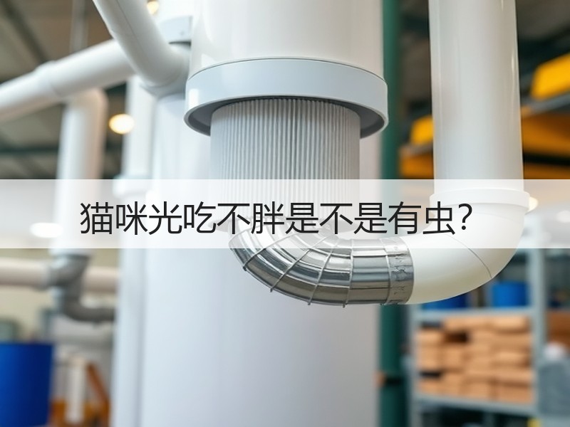 猫咪光吃不胖是不是有虫？