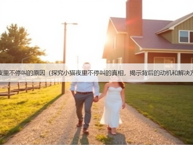 小猫夜里不停叫的原因(探究小猫夜里不停叫的真相,揭示背后的动机和解决方法)(图1) 小猫夜里不停叫的原因(探究小猫夜里不停叫的真相,揭示背后的动机和解决方法)(图1)